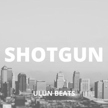 SHOTGUN