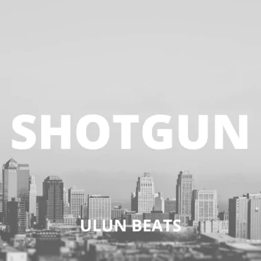 SHOTGUN